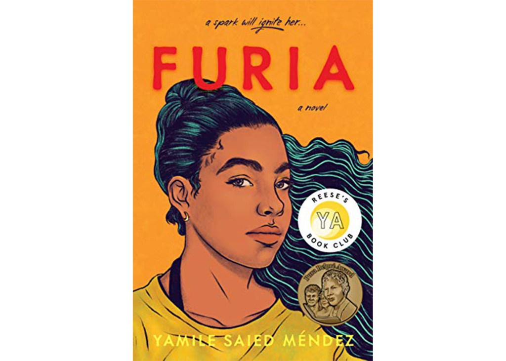 "Furia" by Yamile Saied Mendez